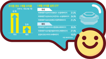 국내에 밀린 해외 주식형…1兆 공룡펀드는 자취 감췄다