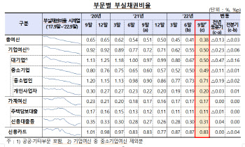 9월말 부실채권비율, 역대 최저...'코로나 지원 착시' 우려