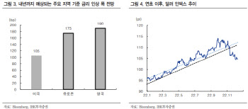 "내년 하반기 美금리인하 시 달러 강세 가능성 낮아"