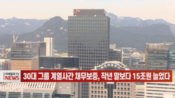 (영상)30대 그룹 계열사간 채무보증, 작년 말보다 15조원 늘었다