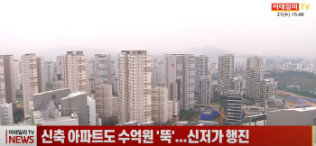 (영상)신축 아파트도 수억원 '뚝'...신저가 행진