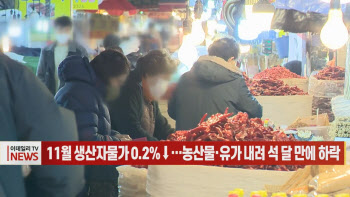 (영상)11월 생산자물가 0.2%↓…농산물·유가 내려 석 달 만에 하락