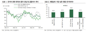 "한중 전기차·반도체 동시 투자 ETF, 장기적 접근 긍정적"