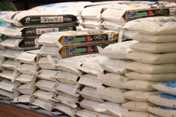 농식품부 예산 17조 돌파, 밀·콩 육성 등 식량안보 중점