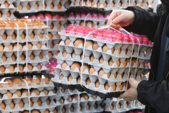 "차라리 닭을 사서 직접 키우자"…달걀값 상승에 전세계가 몸살