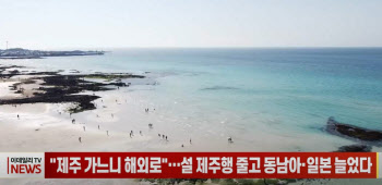 (영상)"제주 가느니 해외로"…설 제주행 줄고 동남아·일본 늘었다