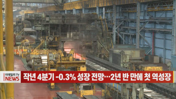 (영상)작년 4분기 -0.3% 성장 전망…2년 반 만에 첫 역성장