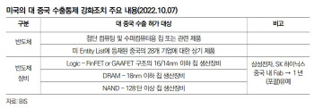 "생산량 줄여 가격회복 시도" 메모리반도체 신용등급 '안정적'