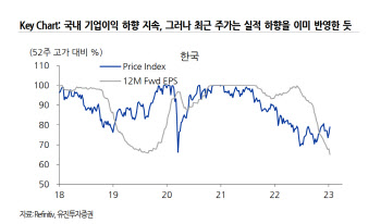 "국내 주가, 실적 하향 이미 반영…민감섹터 하락 위험 크지 않아"