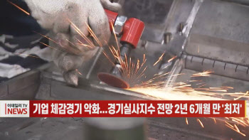 (영상)기업 체감경기 악화...경기실사지수 전망 2년 6개월 만 '최저'