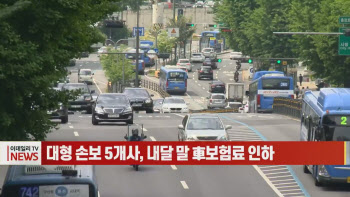 (영상)대형 손보 5개사, 내달 말 車보험료 인하