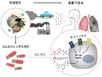 미세먼지 속 감염병 세균이 호흡기 질병 일으키는 원리 찾아