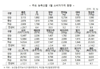 한파에 오이·양파 등 가격 급등세…전체 농축산물 가격은 1.9%↓