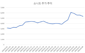 CB 전환 제동에 속끓는 '소니드'…신사업 차질빚나