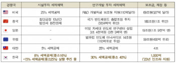 "투자계획도 못 짤 판"…K칩스법 '하세월'에 답답한 반도체업계