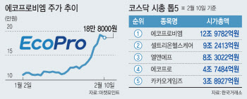 2차전지주 질주에 에코프로비엠 '대장주' 굳히기