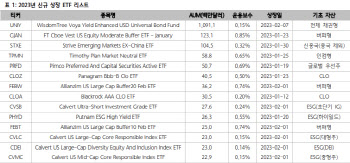 "올해 美ETF 40여 종목 상장…AI 챗봇 테마 출격 준비"