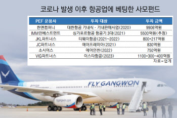 플라이강원도 매물로…또 사모펀드가 품나