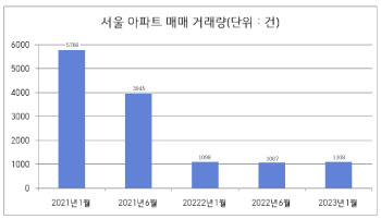 지난달 서울 아파트 거래량 1000건 돌파…"급매거래 확대"