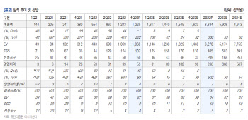 엘앤에프, 밸류에이션 매력에 수주 기대감까지-유안타