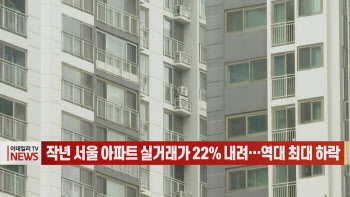 (영상)작년 서울 아파트 실거래가 22% 내려…역대 최대 하락