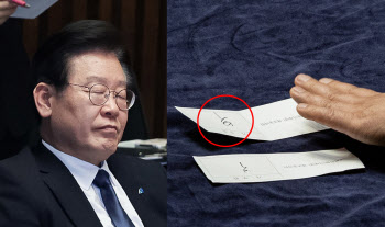 "'찢자' 농담하던 민주, 갑자기 정적"...이재명 개딸 "결국 수박"