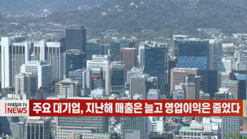 (영상)주요 대기업, 지난해 매출은 늘고 영업이익은 줄었다