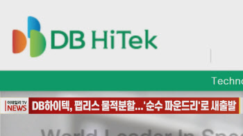 (영상)DB하이텍, 팹리스 물적분할...'순수 파운드리'로 새출발