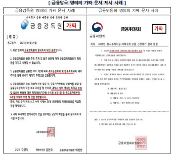 금융당국 가짜 문서 활용 사기 활개…"손실 보상해드립니다"