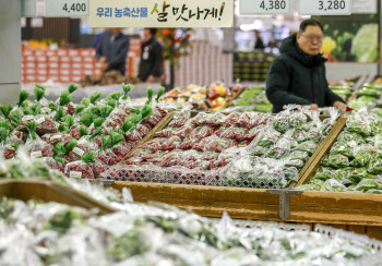 또 나온 소비·할인쿠폰…물가자극 없이 내수진작만 가능할까