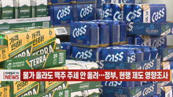 (영상)물가 올라도 맥주 주세 안 올려…정부, 현행 제도 영향조사