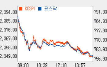 4% 가까이 폭락…외인·기관 동반 '팔자'