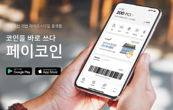 가상자산 간편결제 페이코인, 국내서 자체코인 PCI 안 쓴다