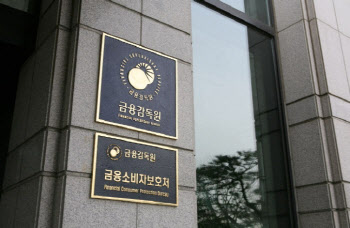 금감원, 비은행권 선제적 위기 대응 능력 중점 점검한다