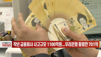 (영상)작년 금융회사 사고규모 1100억원...우리은행 횡령만 701억