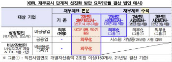 금감원, 올해 3Q부터 'XBRL 재무공시' 단계적 시행…"코리아 디스카운트 해소"