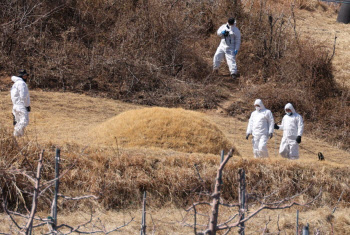 이재명 부모 산소 3곳 훼손…돌 마지막 글자는 氣