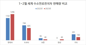 올해 1~2월 세계 수소차 시장 ‘역성장’…현대차는 성장세 유지