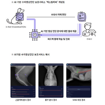 SKT, 동물병원 대상 엑스레이 촬영법 교육 나서