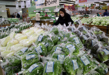 양파·풋고추 등 채소값 13.8% 껑충…온·오프라인서 20% 할인 행사
