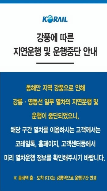 강원동해안 강풍 여파…코레일, 영동선 열차운행 조정