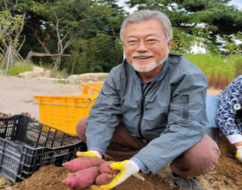 文 "난 원래 노는 걸 더 좋아한다"…"조용히 산다더니?" 전여옥 직격