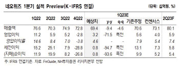 네오위즈, 다가오는 신작 출시…성장세 기대-NH