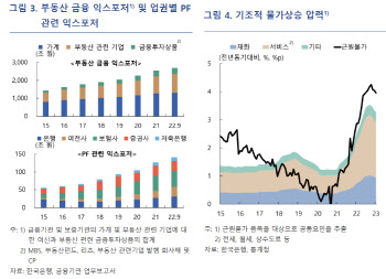 한은 국장 "'물가는 기준금리로, 금융불안은 '유동성'으로 분리 대응"