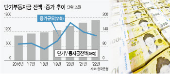 금리 초고속 인상했는데 '길 잃은 돈' 급증…왜?