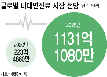 OECD 37개국 다하는데 우리만…비대면진료 문턱 높은 韓