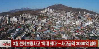 3월 전세보증사고 '역대 최다'…사고금액 3000억 넘어