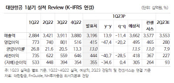 대한항공, 하반기 이익 기대감 커진다-NH