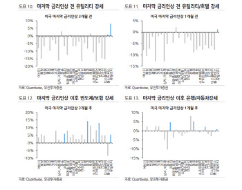 “美, 금리인상 막판…경기민감 업종 피하고 방어·성장주 접근”