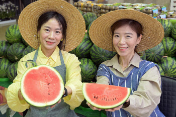 '과일의 계절' 여름...과일 씨는 약일까 독일까